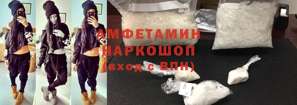 соль ск Инсар