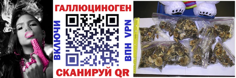 hydra зеркало  Бабаево  Галлюциногенные грибы MAGIC MUSHROOMS 