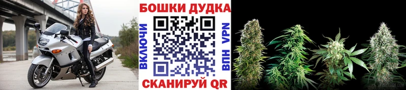купить  сайты  Бабаево  Каннабис Bruce Banner 
